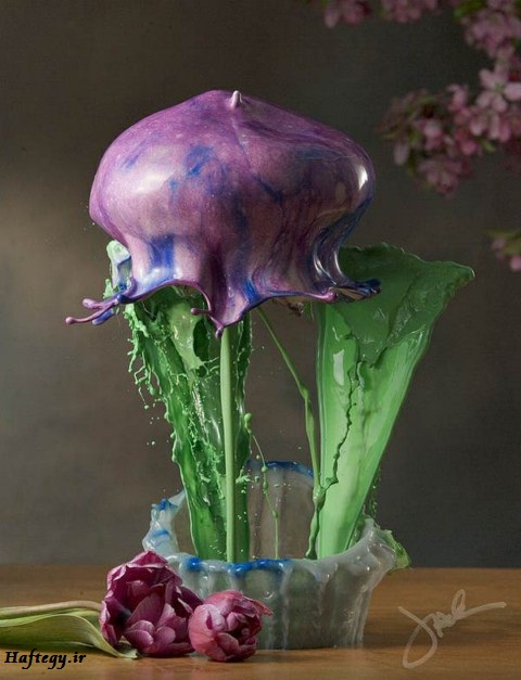 عکس های جالب از گل های مایع - هنر عکاسی در سرعت بالا
