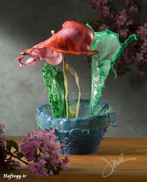عکس های جالب از گل های مایع