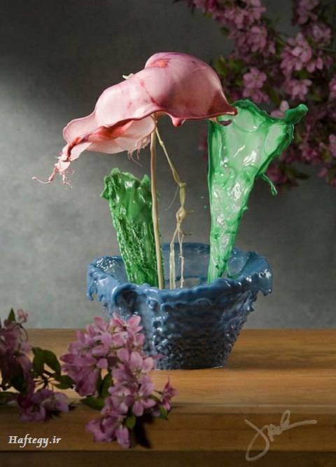 عکس های جالب از گل های مایع
