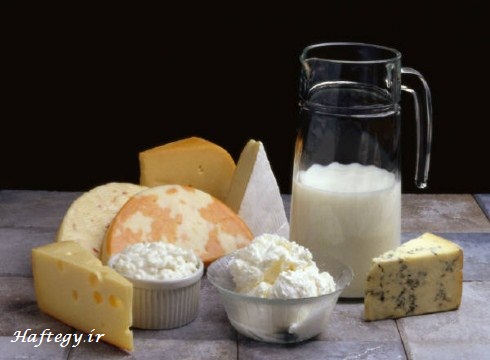 dairy_products_Haftegy.ir