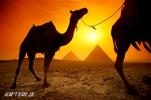 عکس های بسیار زیبا از مصر