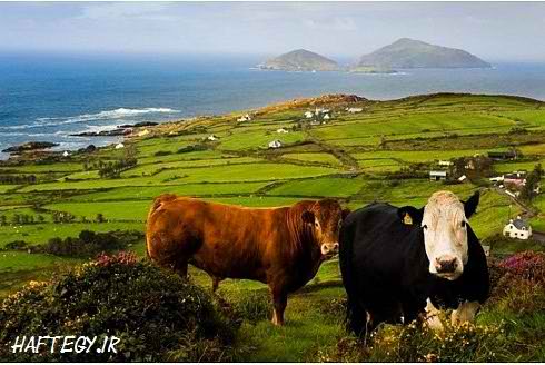 عکس های بسیار زیبا از ایرلند