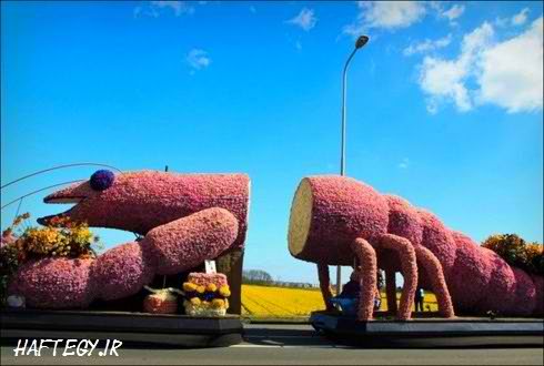 عکس های دیدنی از جشنواره مجسمه های گل در هلند